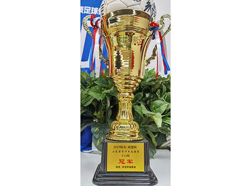 2019銳克·聯盟杯冠軍獎杯(圖1)